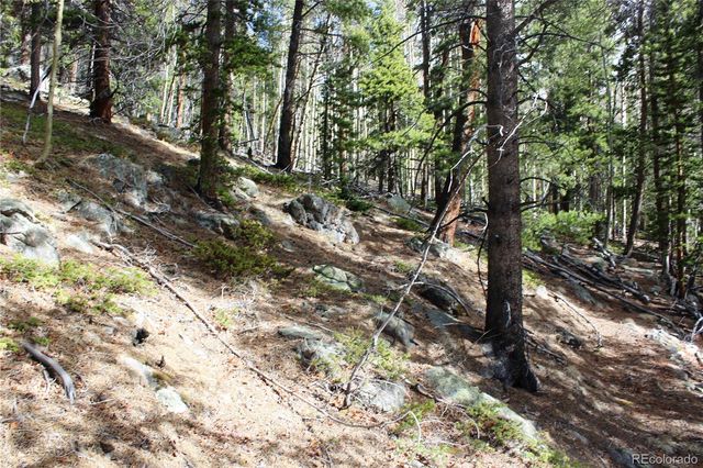 4-1 Lamertine Road, Idaho Springs, CO 80452