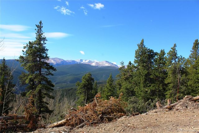 4-1 Lamertine Road, Idaho Springs, CO 80452