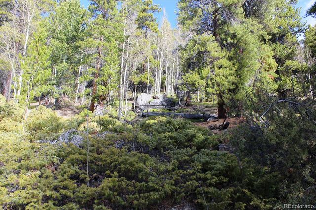 4-1 Lamertine Road, Idaho Springs, CO 80452