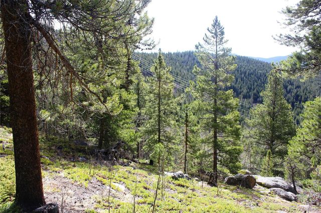 4-1 Lamertine Road, Idaho Springs, CO 80452