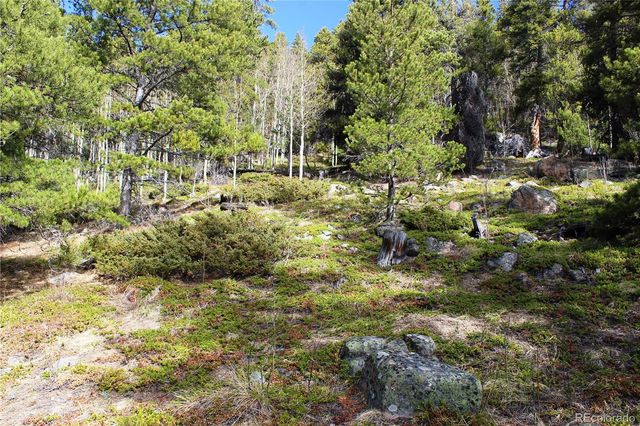4-1 Lamertine Road, Idaho Springs, CO 80452