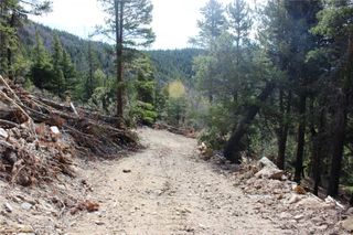 4-1 Lamertine Road, Idaho Springs, CO 80452