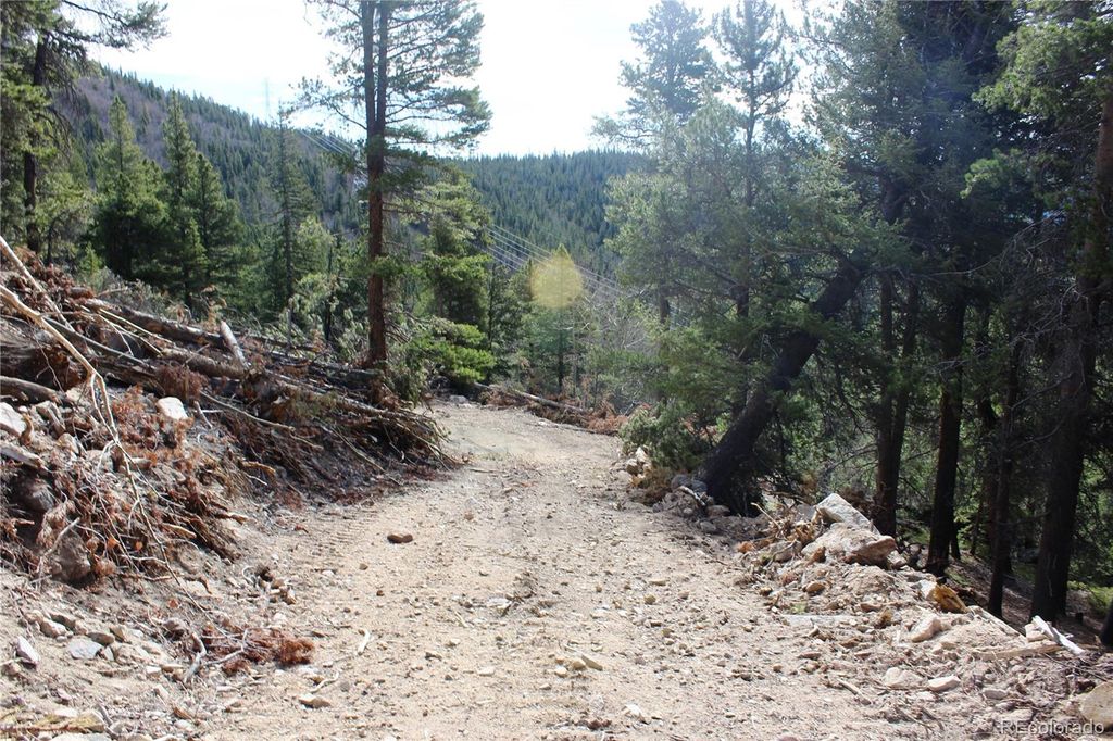 4-1 Lamertine Road, Idaho Springs, CO 80452