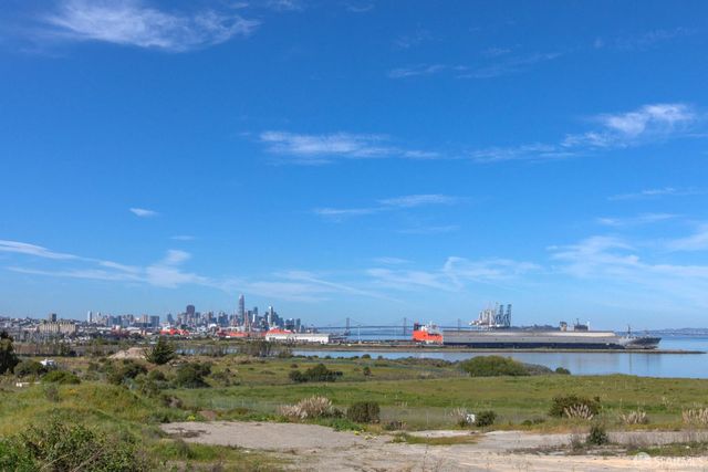 21 Kirkwood Avenue, San Francisco, CA 94124