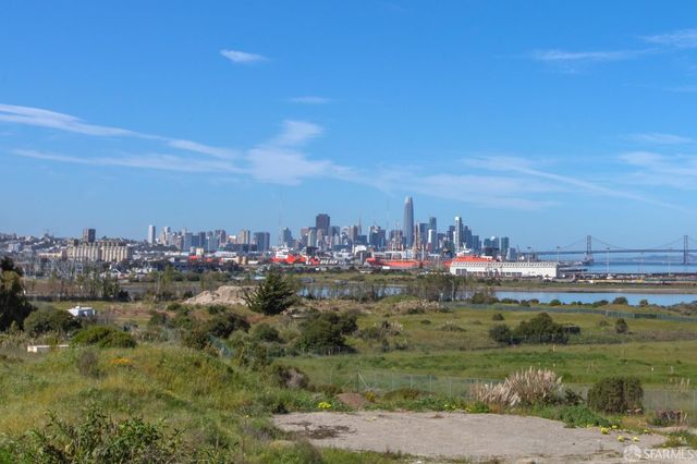 21 Kirkwood Avenue, San Francisco, CA 94124