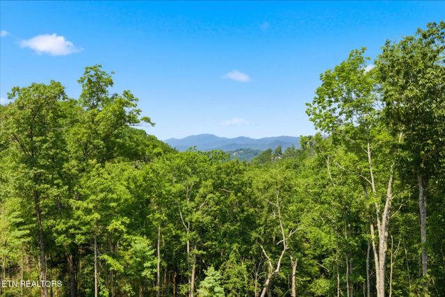 2046 Spurling Rd, Sevierville, TN 37862