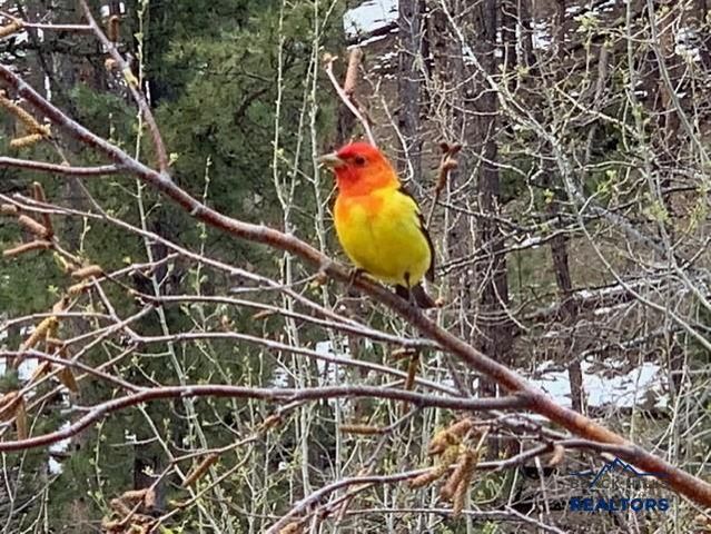 23141 PACTOLA DR, Rapid City, SD 57702