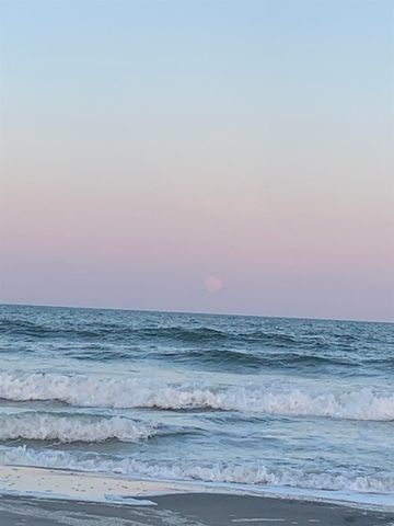 246 Lifestyle Court, Surfside Beach, SC 29575