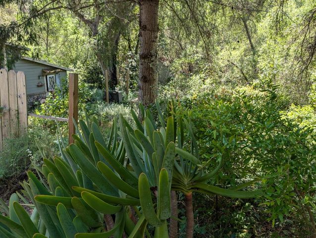 4576 Paul Sweet Road, Santa Cruz, CA 95065