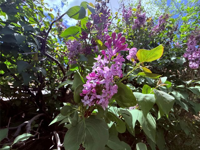 1621 Ben Hur Drive, Santa Fe, NM 87501