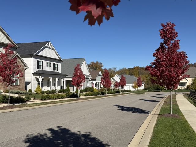 7147 Frances St, Fairview, TN 37062