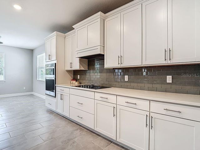 23278 SCAGLIONE DRIVE, Lutz, FL 33549