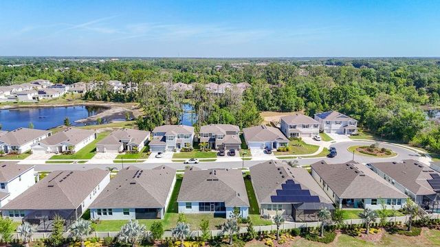 23278 SCAGLIONE DRIVE, Lutz, FL 33549