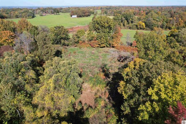 451 County Road 1320, Bardwell, KY 42023