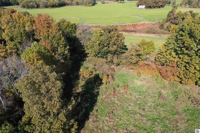 451 County Road 1320, Bardwell, KY 42023