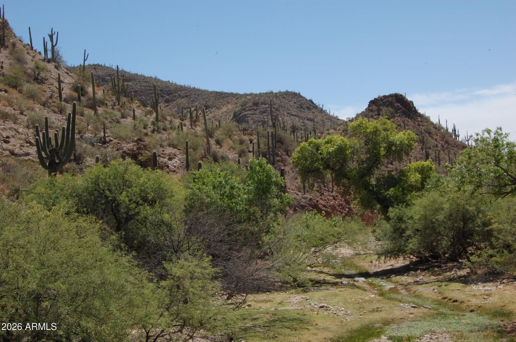 Image 10 of property listing at 37700 S Cow Creek Road 54, Morristown, AZ 85342