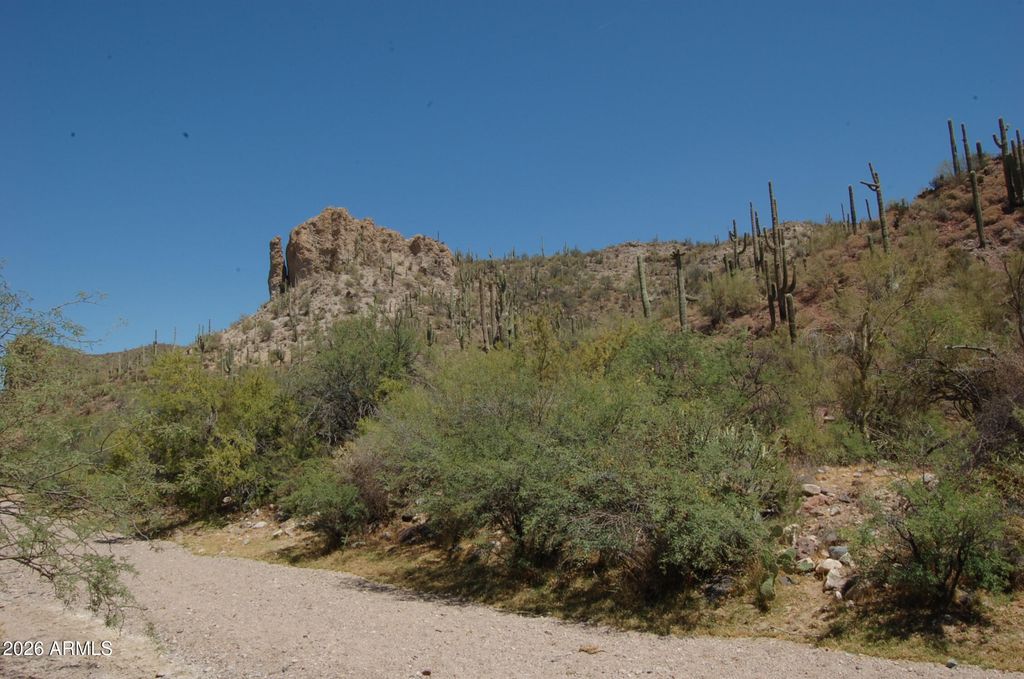 Image 15 of property listing at 37700 S Cow Creek Road 54, Morristown, AZ 85342