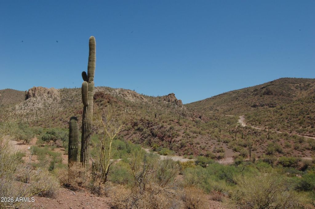 Image 17 of property listing at 37700 S Cow Creek Road 54, Morristown, AZ 85342