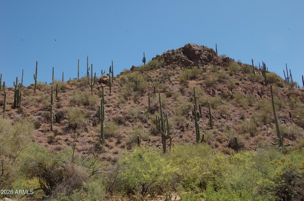 Image 18 of property listing at 37700 S Cow Creek Road 54, Morristown, AZ 85342