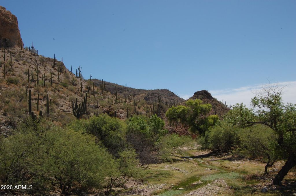 Image 3 of property listing at 37700 S Cow Creek Road 54, Morristown, AZ 85342