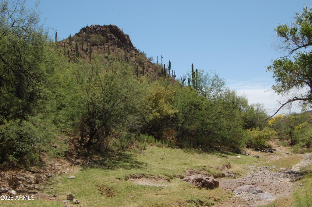 Image 7 of property listing at 37700 S Cow Creek Road 54, Morristown, AZ 85342