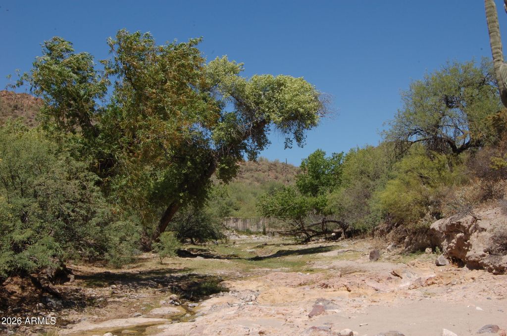 Image 8 of property listing at 37700 S Cow Creek Road 54, Morristown, AZ 85342