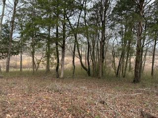 57 Captains Way, Jasper, TN 37347