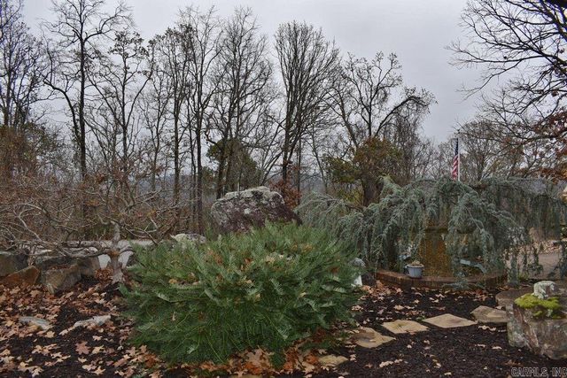 33 Mesero Way, Hot Springs Village, AR 71909