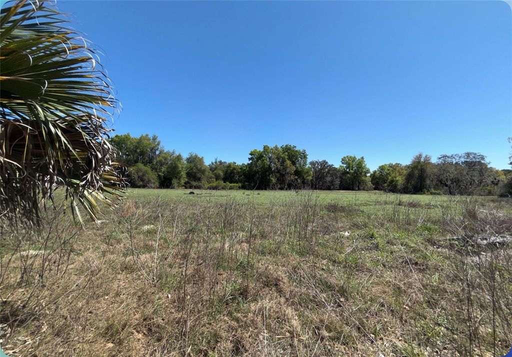 9844 POE STREET, Leesburg, FL 34788