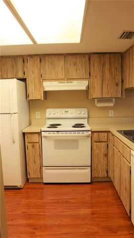 5024 TERRACE PALMS CIRCLE 101, Tampa, FL 33617