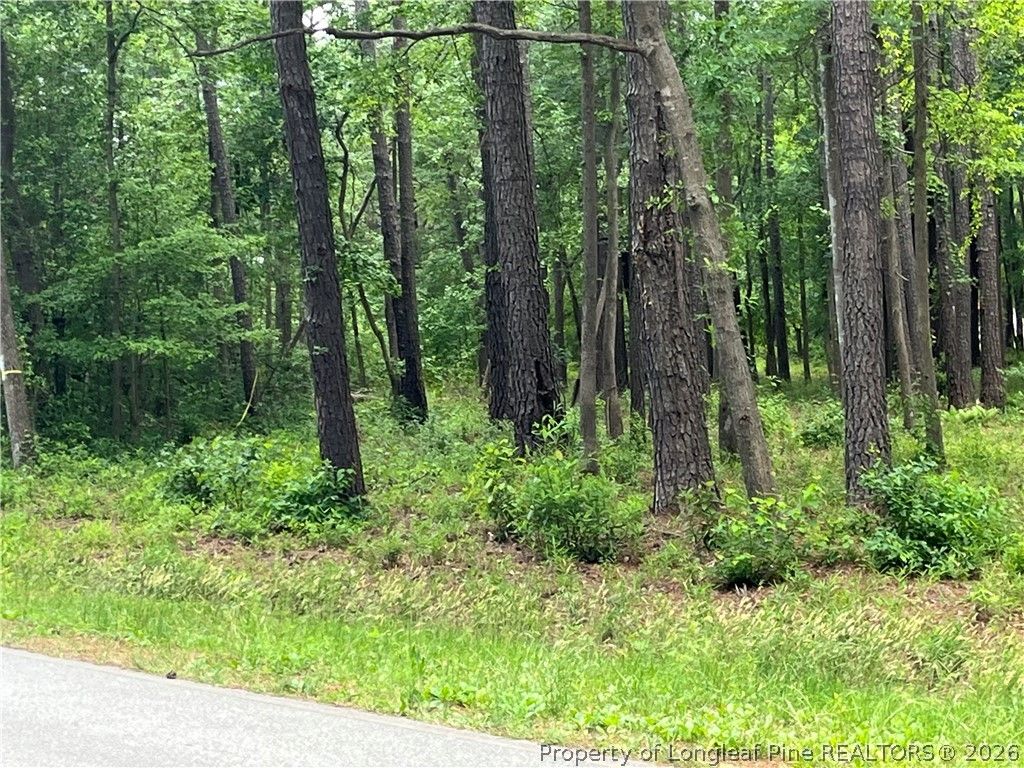 0 Bryant Circle, Maxton, NC 28364 — photo 3