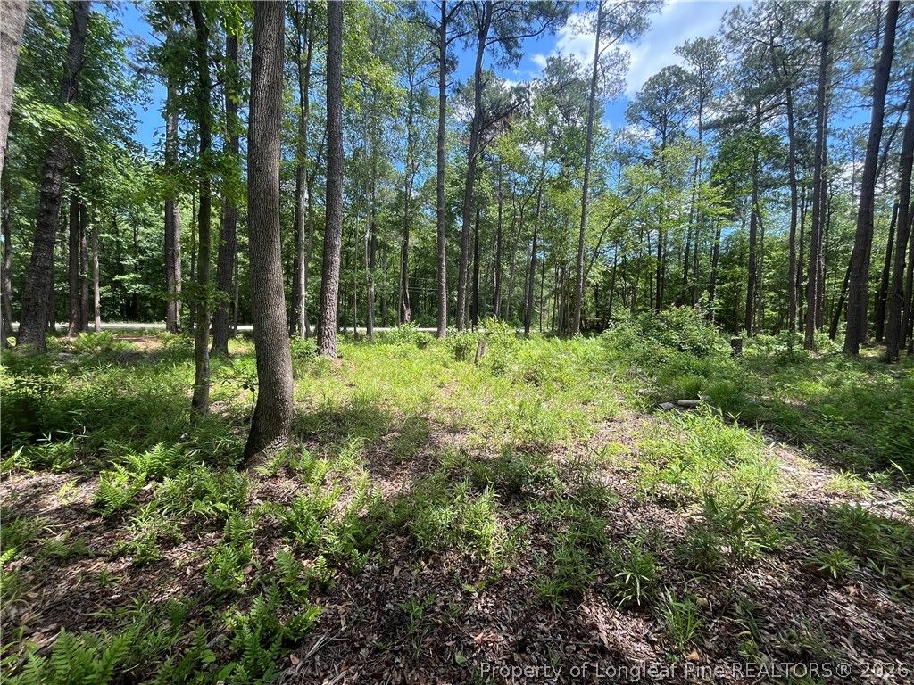 0 Bryant Circle, Maxton, NC 28364 — photo 4