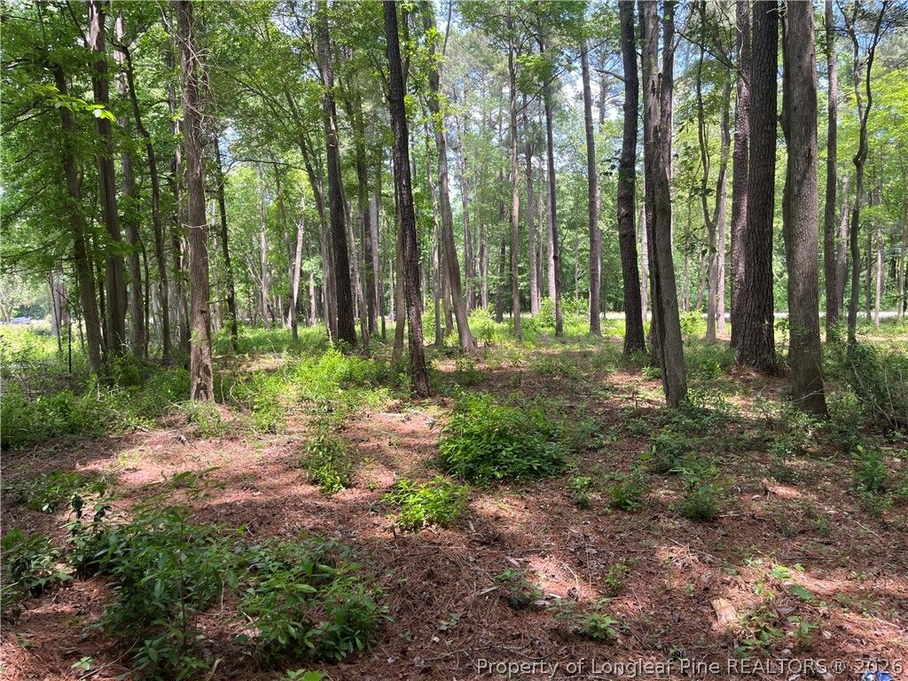 0 Bryant Circle, Maxton, NC 28364 — photo 5