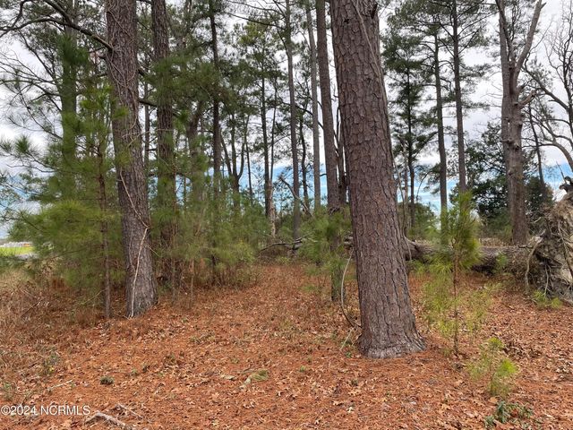 0 Ball Road, Washington, NC 27889