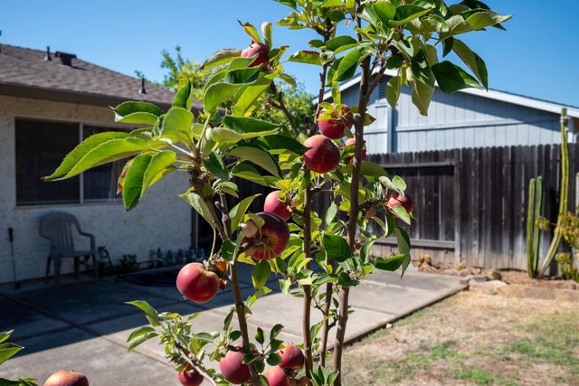 4053 Bairnsdale Way, Sacramento, CA 95826