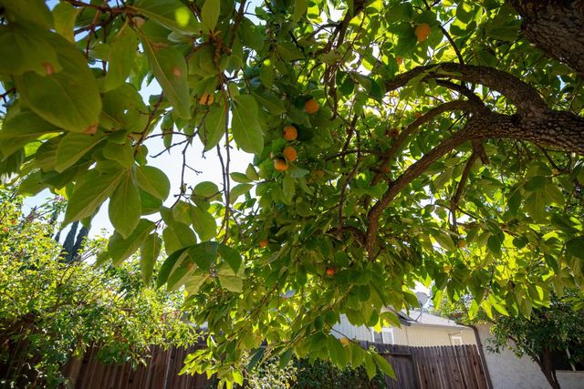 4053 Bairnsdale Way, Sacramento, CA 95826