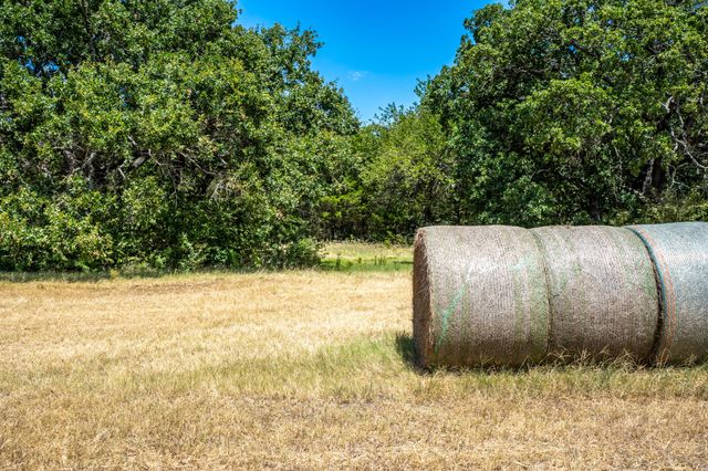 000 County Road 2615, Ivanhoe, TX 75447