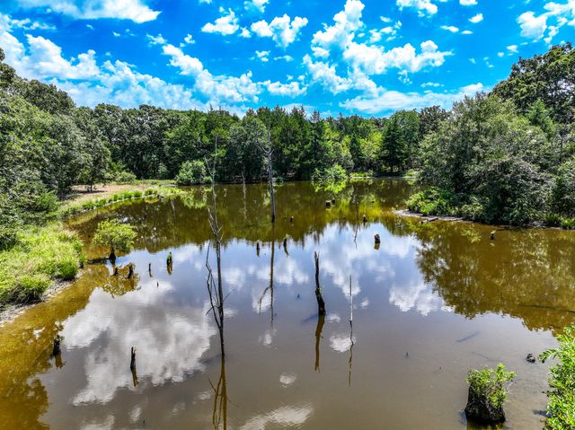 000 County Road 2615, Ivanhoe, TX 75447