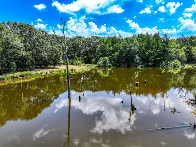 000 County Road 2615, Ivanhoe, TX 75447