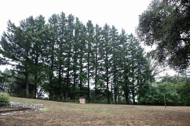 215 Marty Road, Los Gatos, CA 95033