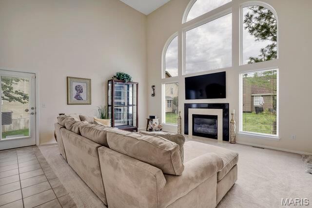 1036 Saratoga Springs Court, Unincorporated, MO 63034