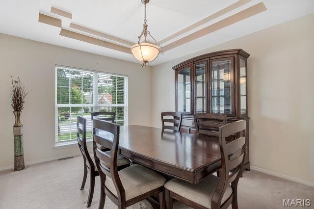 1036 Saratoga Springs Court, Unincorporated, MO 63034
