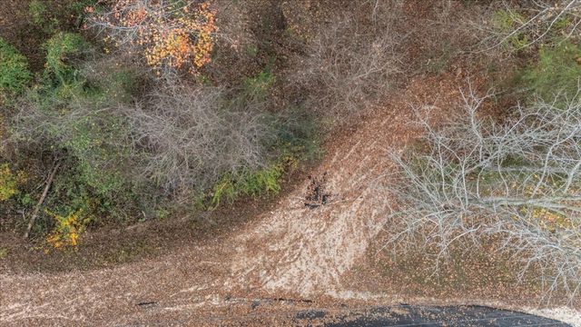 0 Riverview Lane, Waverly, TN 37185