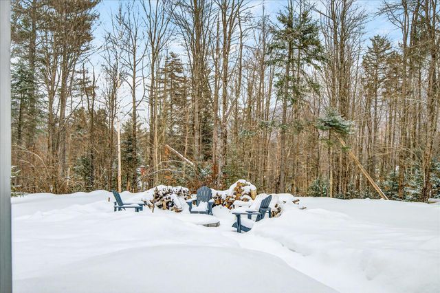 45 Okemo Way, Mount Holly, VT 05758