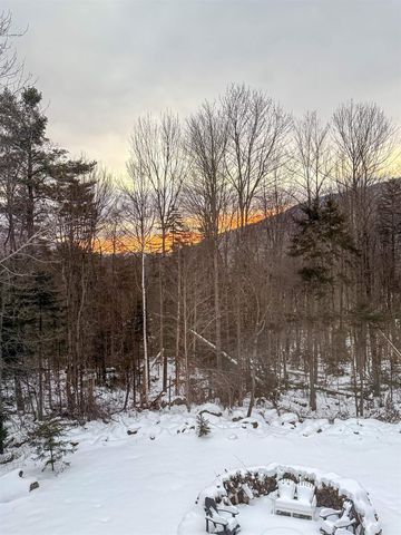 45 Okemo Way, Mount Holly, VT 05758