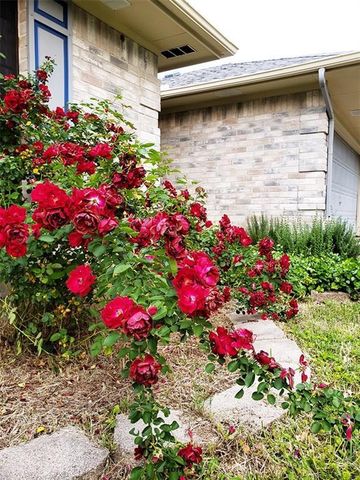 2110 Nathan DR, Austin, TX 78728