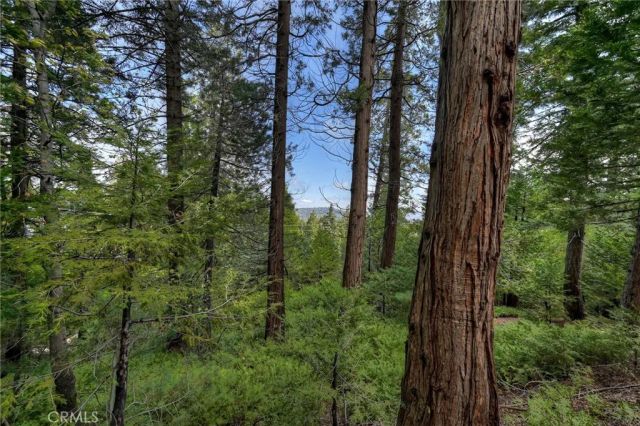0 Stonehill, Lake Arrowhead, CA 92385