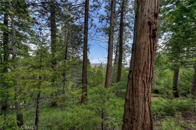 0 Stonehill, Lake Arrowhead, CA 92385
