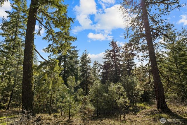 0 Lot B R&R Heights Drive, Roslyn, WA 98941