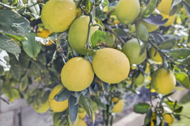 1636 Earl Avenue, Simi Valley, CA 93065